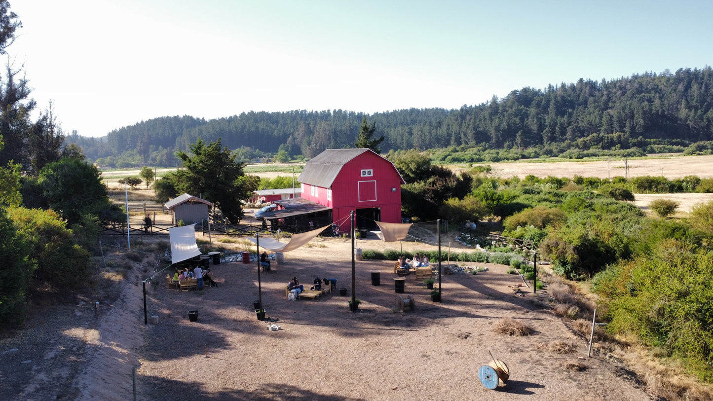 Valparaíso Seguro + Experiencia Campestre en Casablanca Pitama.