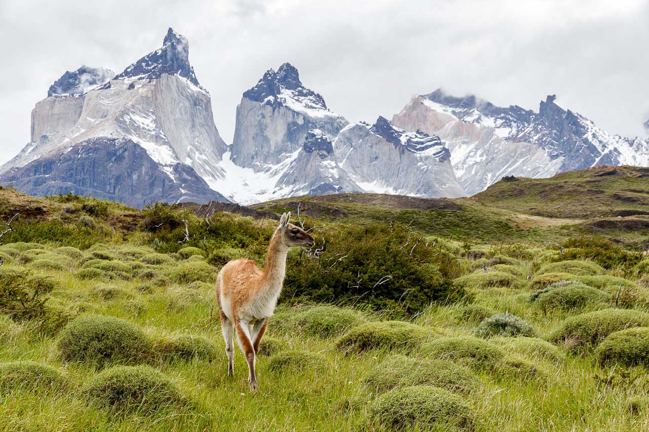 TORRES-DEL-PAINE-1920-2.jpg